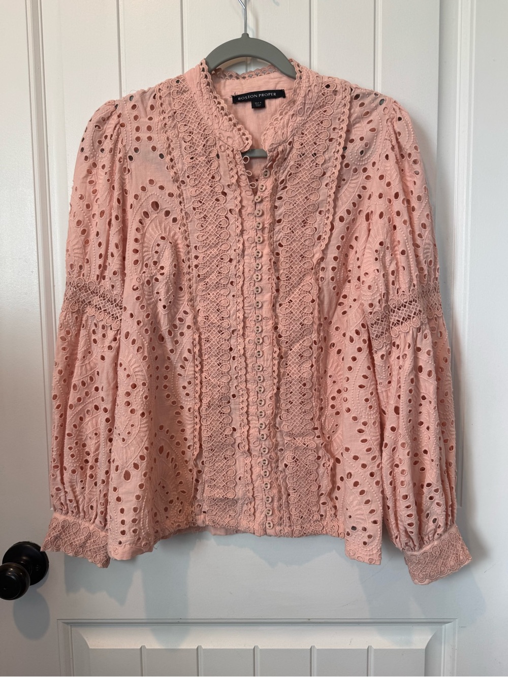 Boston Proper Dusty Pink Eyelet Lace Button-Up Blouse